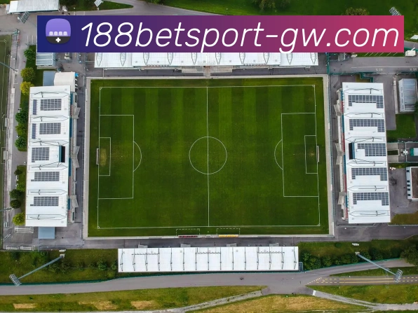 纳帅拒绝回归拜仁因担忧欧洲杯影响与往事仍历历在目