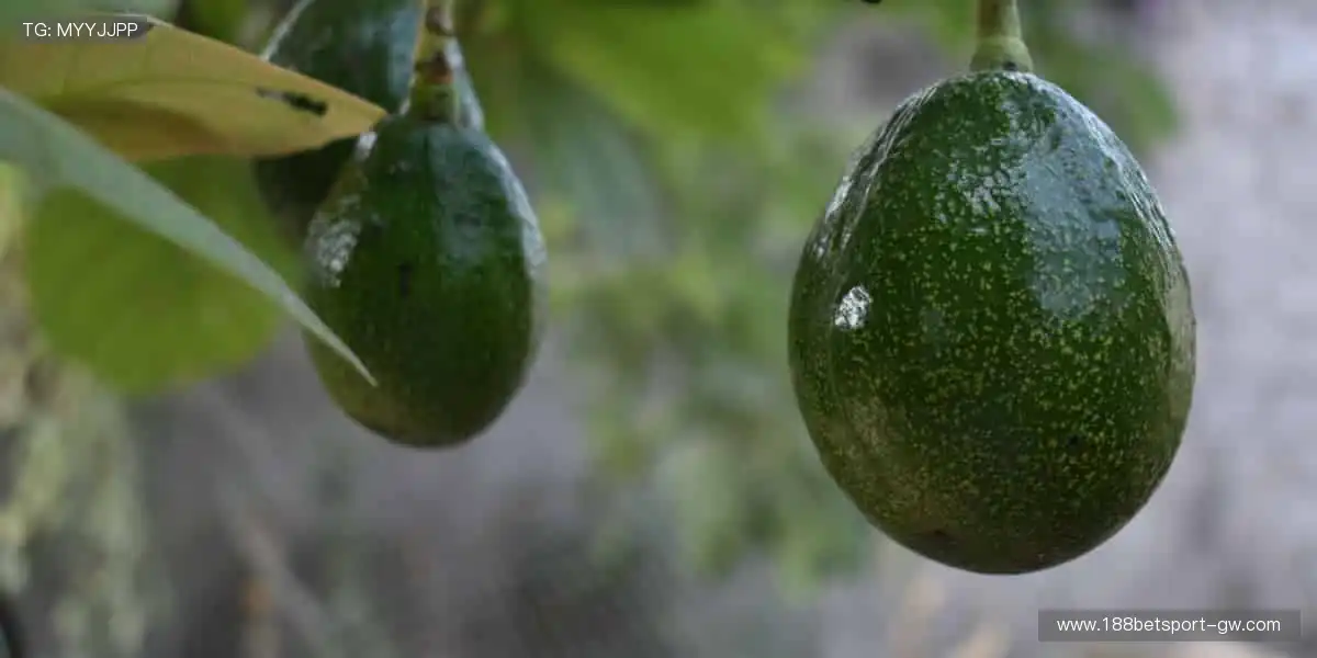 运动灵感触手可及,周边好物等你发现!🎁